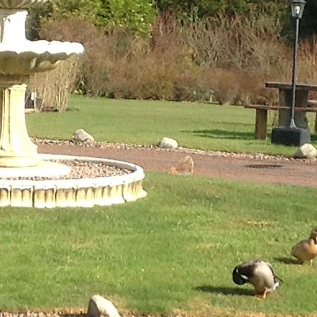 Camfield House Bed and Breakfast Thurso Buitenkant foto